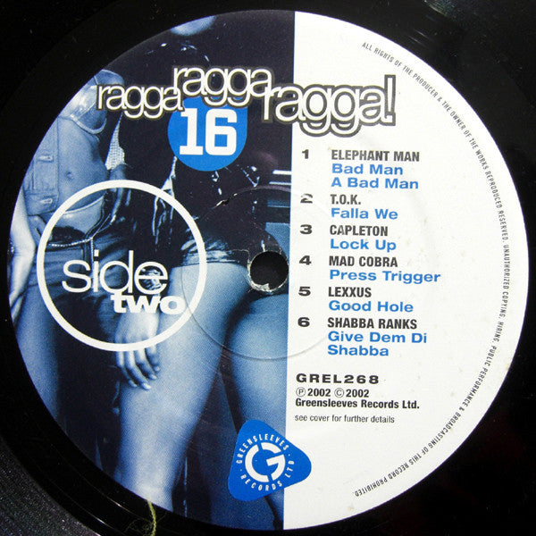 Various : Ragga Ragga Ragga! 16 (LP, Comp)