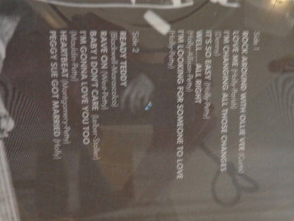 Buddy Holly : Buddy Holly (LP, Comp, Pic)