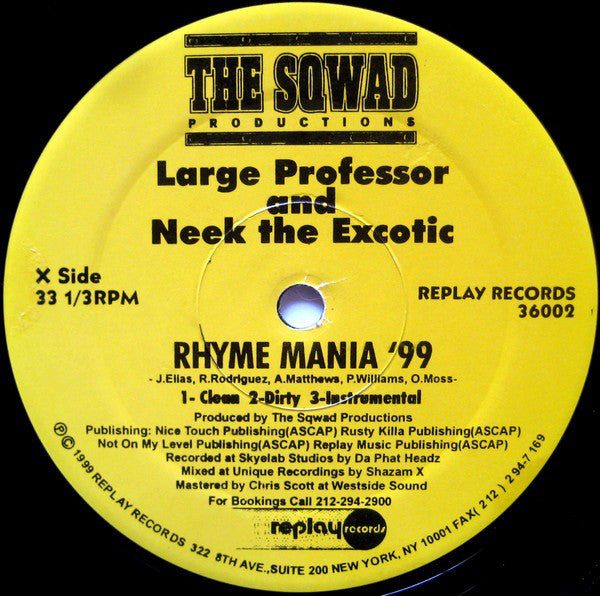 The Sqwad : Large Professor & Neek The Exotic / Masta Ace : Rhyme Mania '99 / NY Confidential (12")