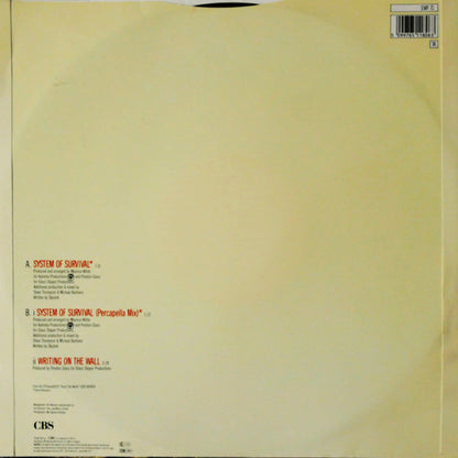 Earth, Wind & Fire : System Of Survival (12")