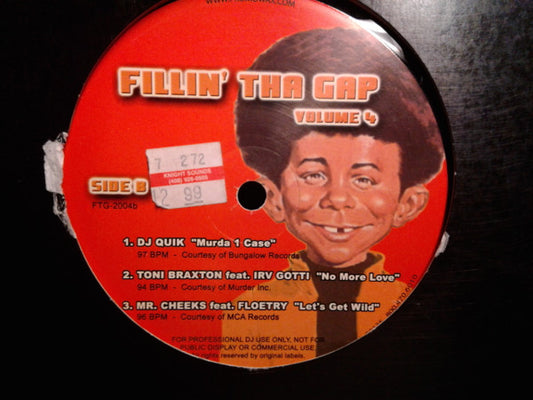 Various : Fillin' Tha Gap Volume 4 (12", Comp)