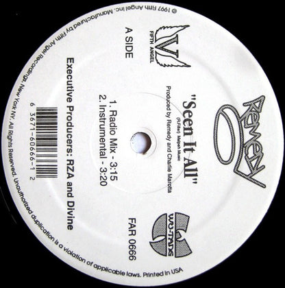 Remedy (3) : Seen It All / Everything Is Real (12")
