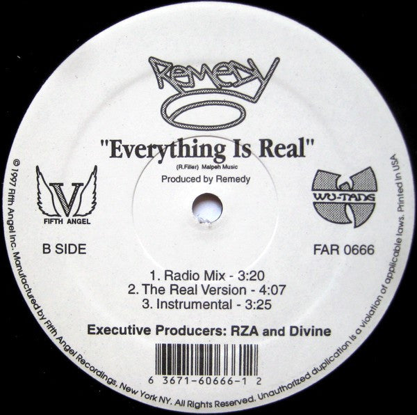 Remedy (3) : Seen It All / Everything Is Real (12")