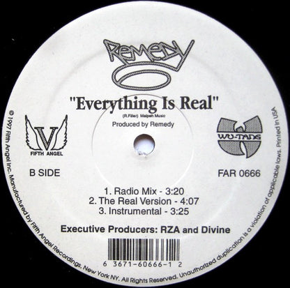 Remedy (3) : Seen It All / Everything Is Real (12")