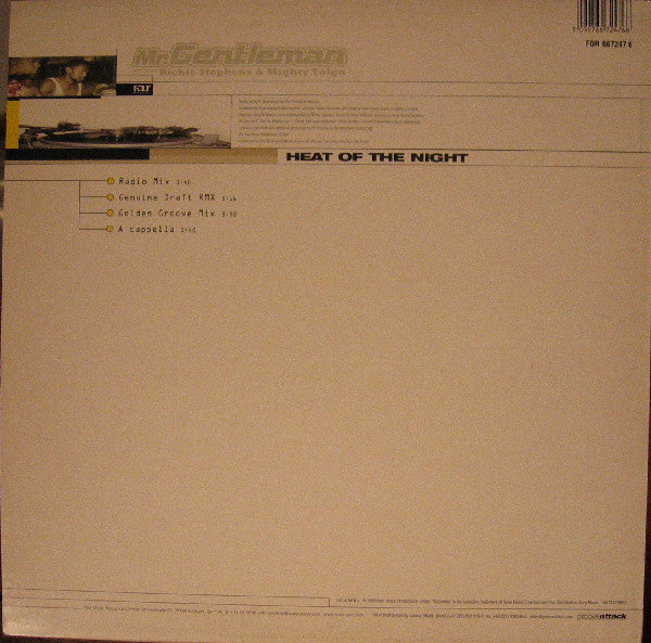 Mr. Gentleman* Featuring Richie Stephens & Mighty Tolga : Heat Of The Night (12")