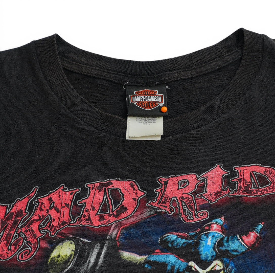 Harley Davidson Florida