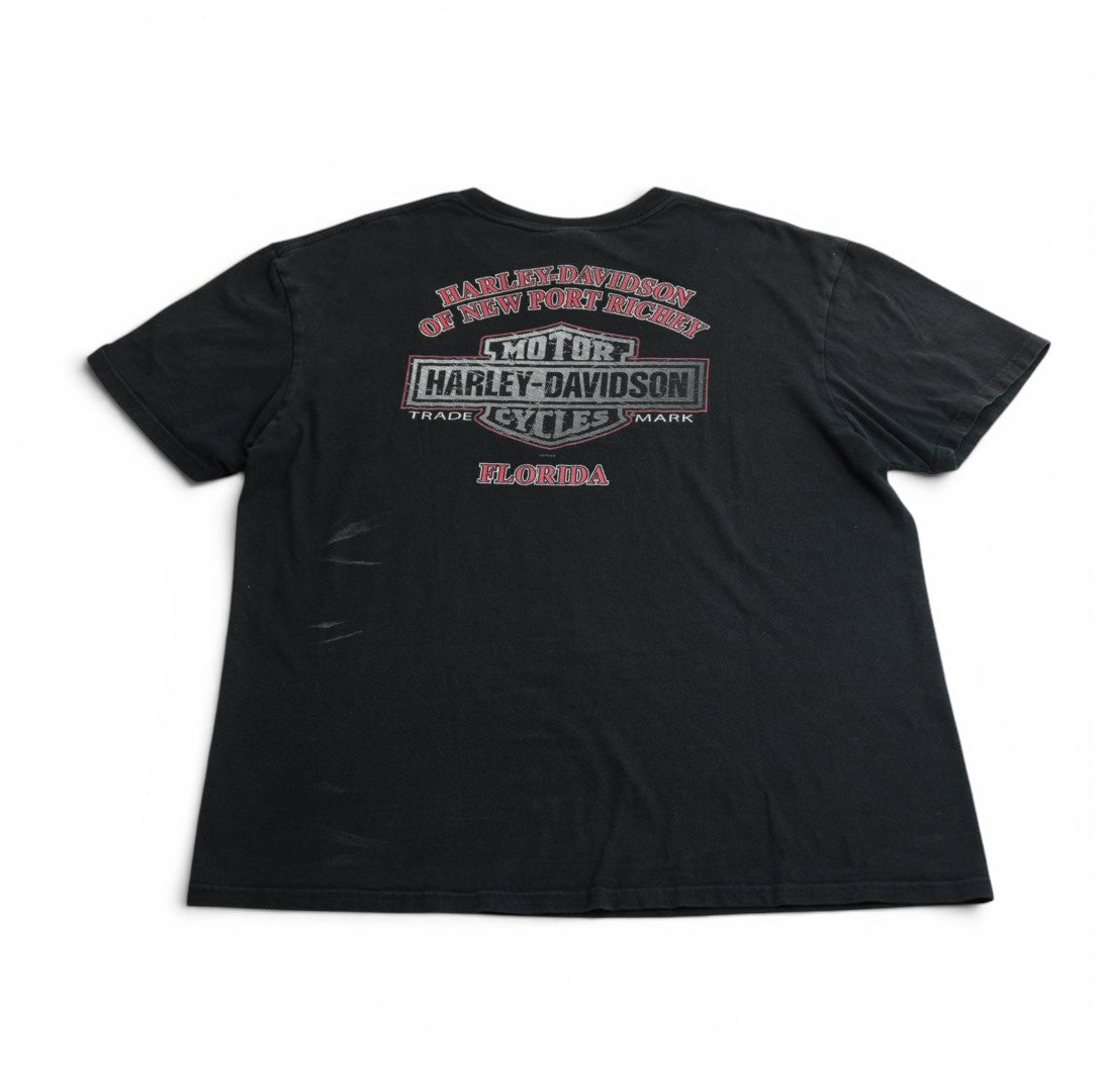 Harley Davidson Florida